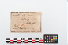 Etikett zu Elfenbeinschwertknauf (NHMW-PRAE-024490a1)